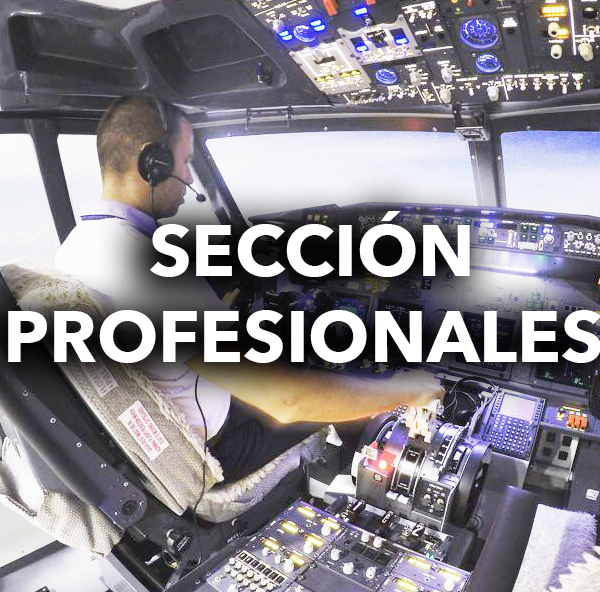 PROFESIONALES